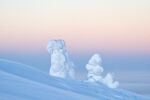 雪景