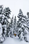 雪景