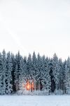 雪景