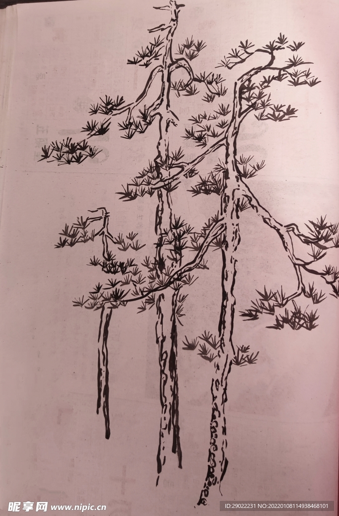 松树国画水墨风手绘画