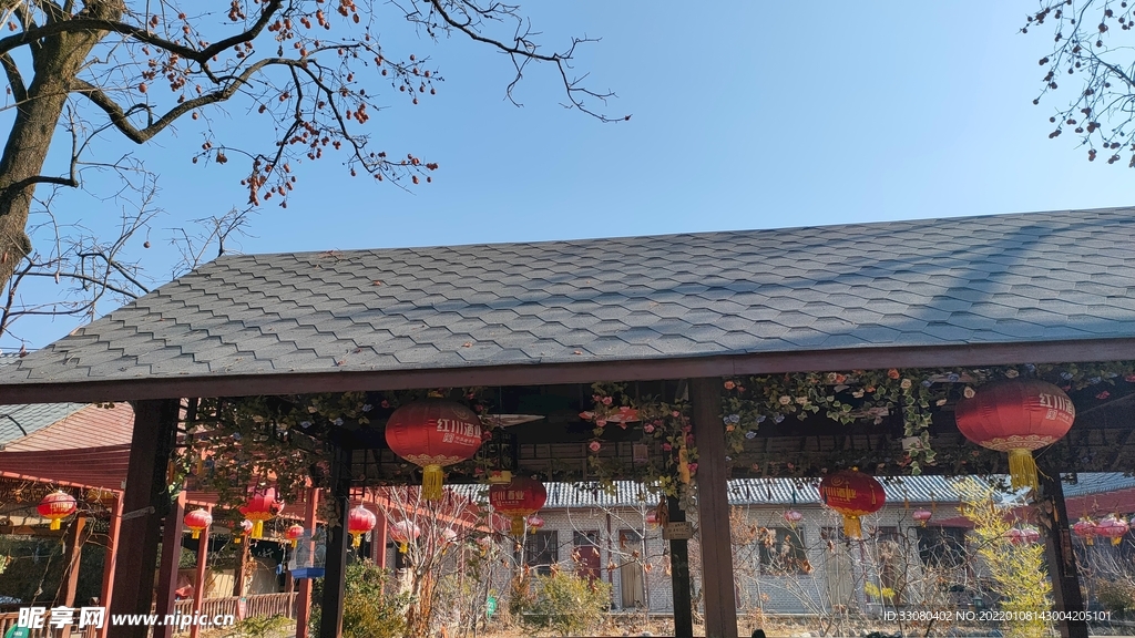 吊柿子