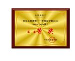 奖牌模板 
