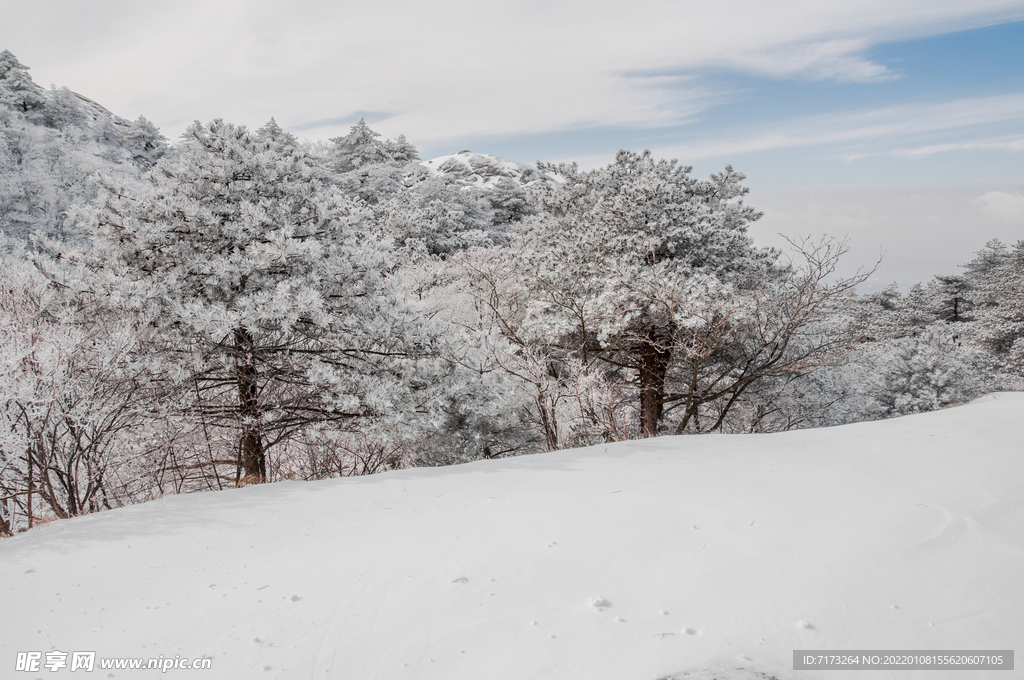 安徽黄山雪景 