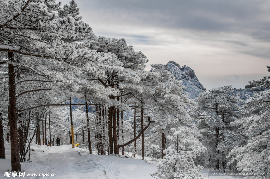 安徽黄山雪景 