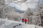 安徽黄山雪景 