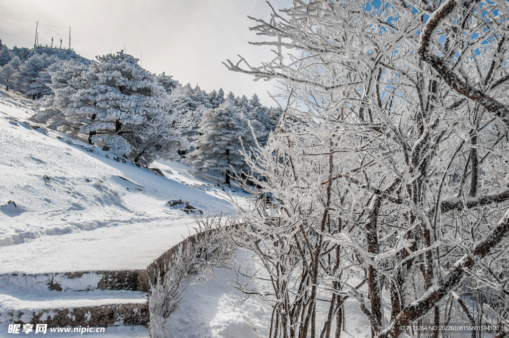 安徽黄山雪景 