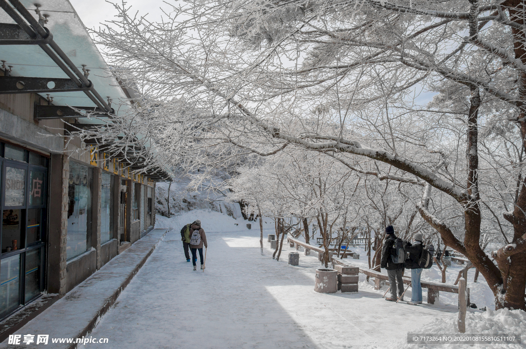 安徽黄山雪景 