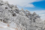 安徽黄山雪景