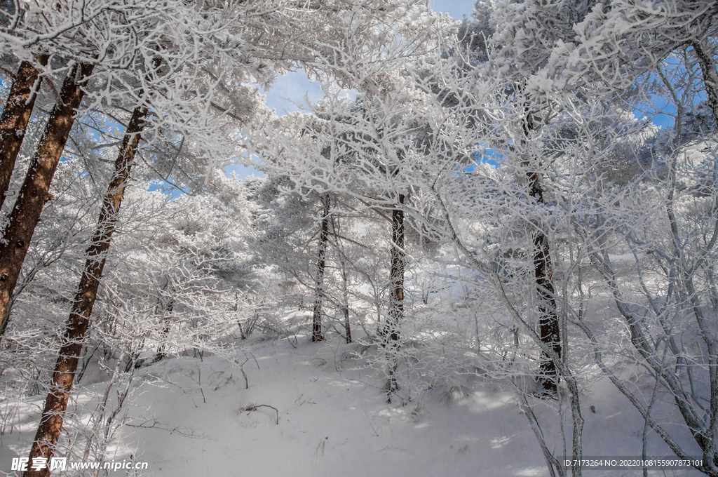 安徽黄山雪景 