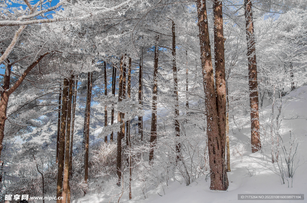 安徽黄山雪景 