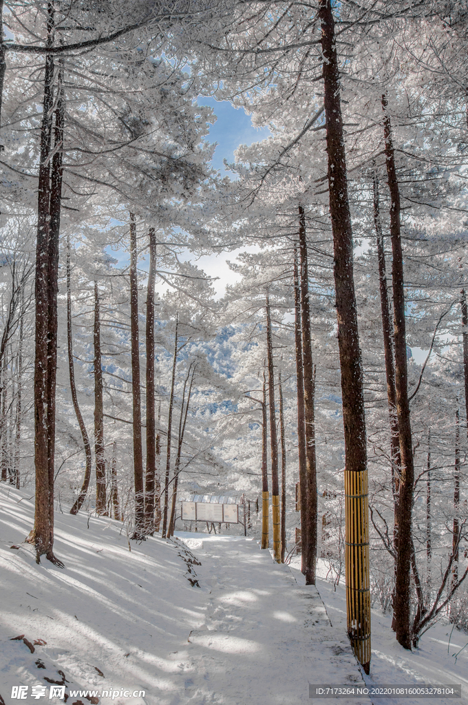 安徽黄山雪景 