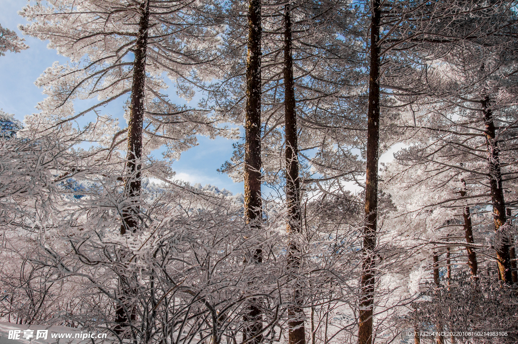 安徽黄山雪景