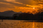 西湖夕阳