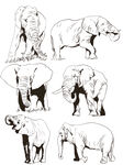 手绘大象插画