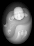 弥勒佛