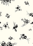 单色 小花 碎花 菊花 黑白花