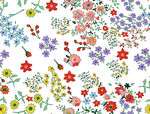 小花 碎花 乱花 数码 菊花