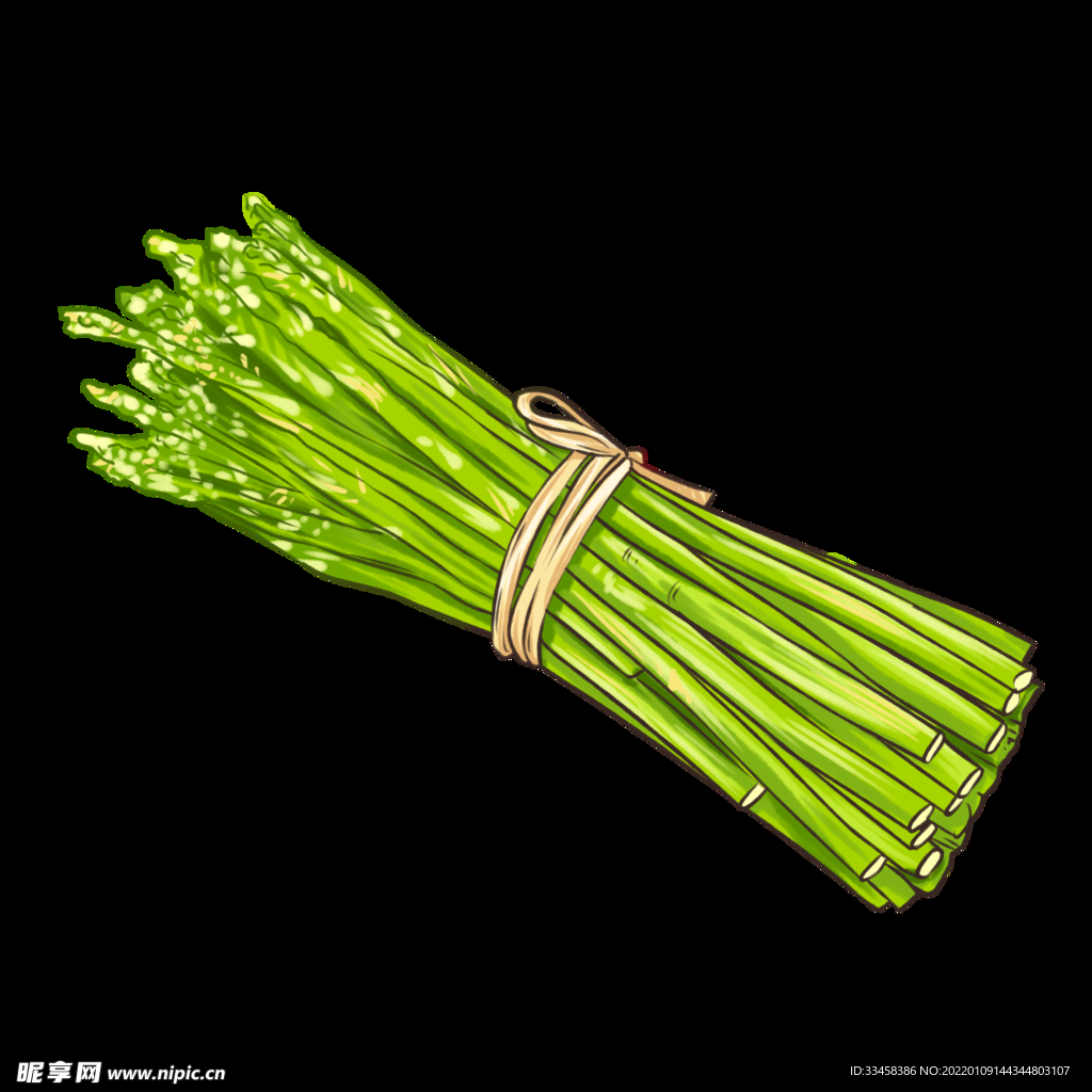 春天春季植物蔬菜新鲜食材芦笋