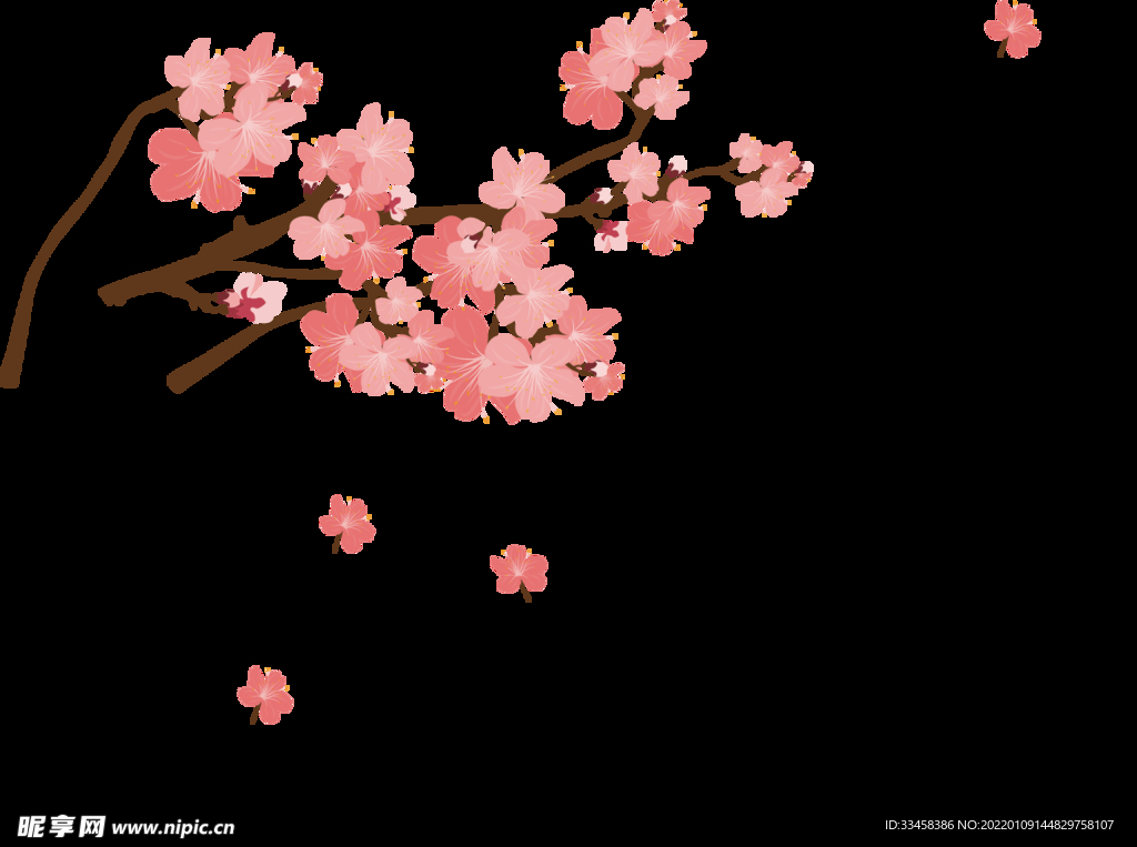 粉红色的花