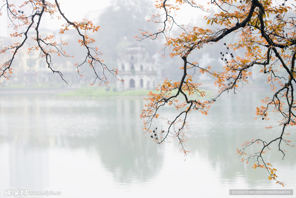 河边风景