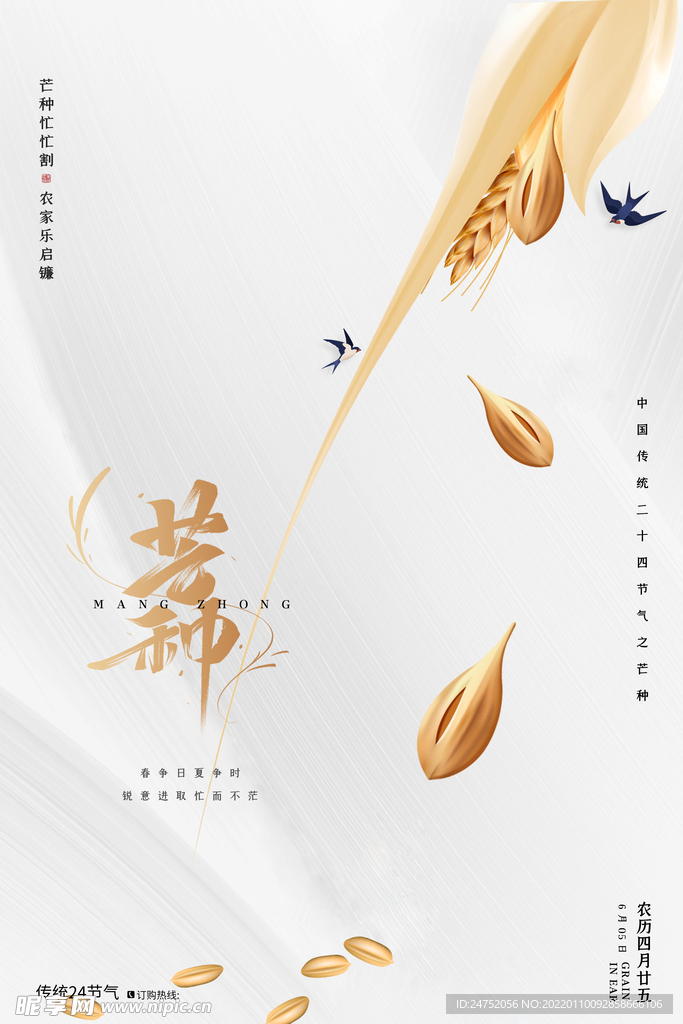芒种