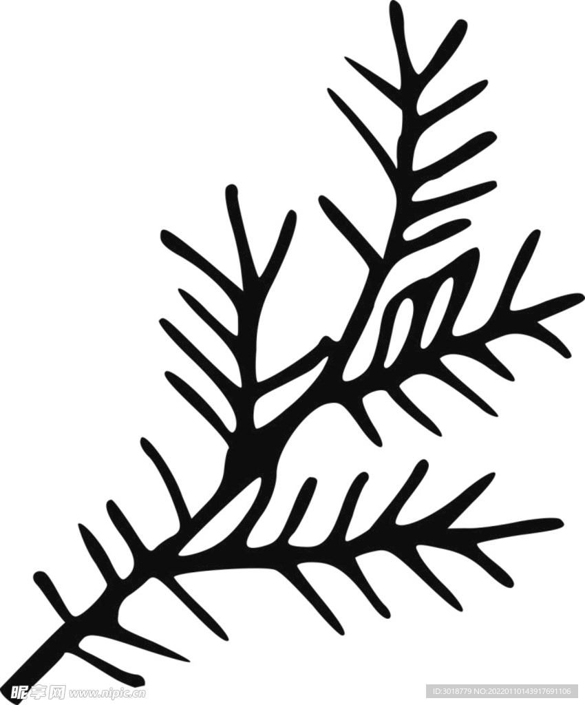 树枝
