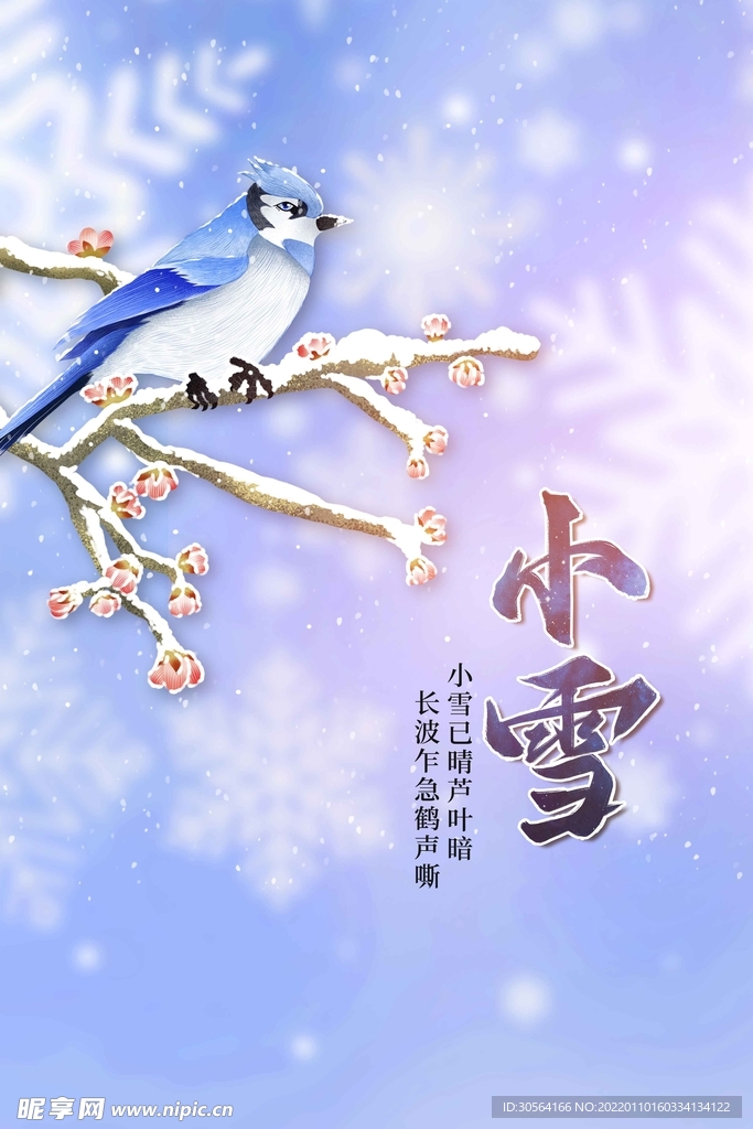 小雪