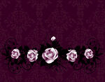 玫瑰花