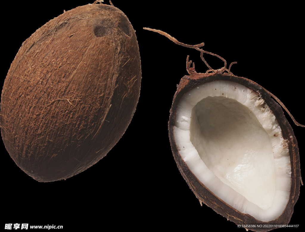 椰子 图片