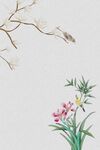 玉兰花