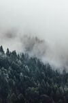 山