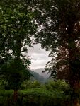 山 