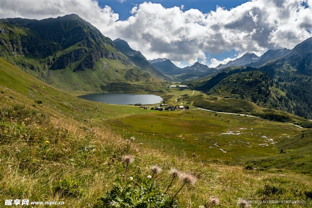 山