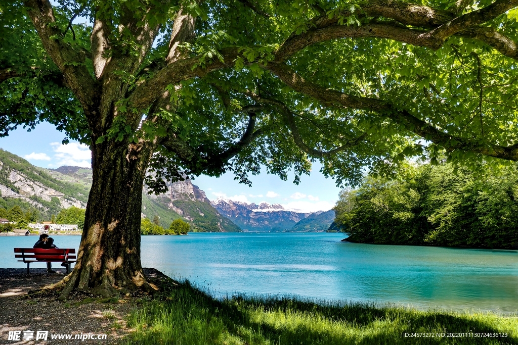 山