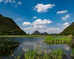 风景