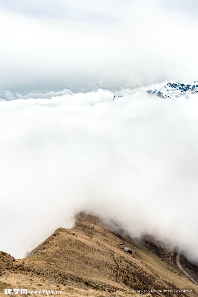 风景 