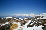 山