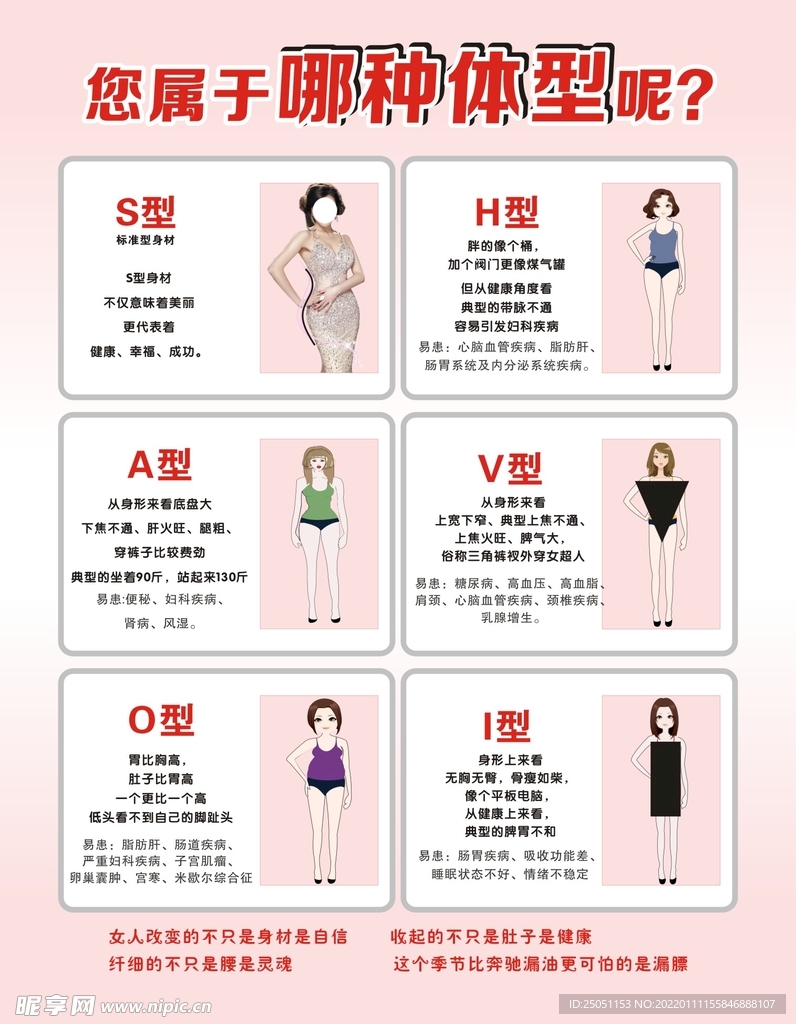 体型图