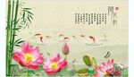荷花 