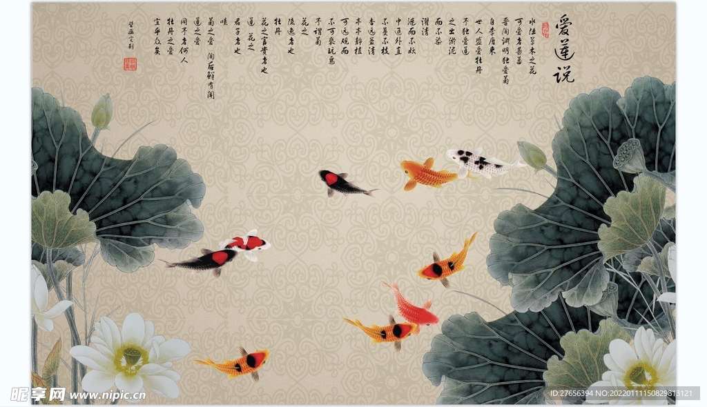 荷花