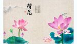 荷花 