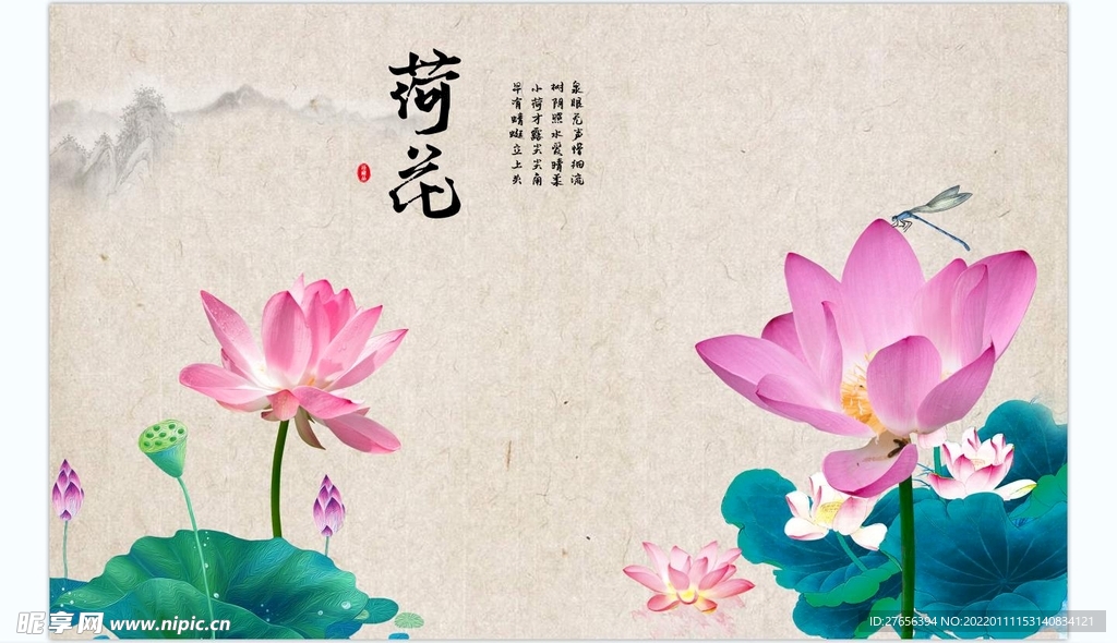荷花 