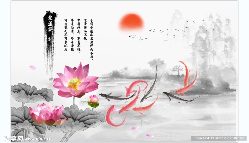 荷花 