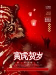 春节海报           