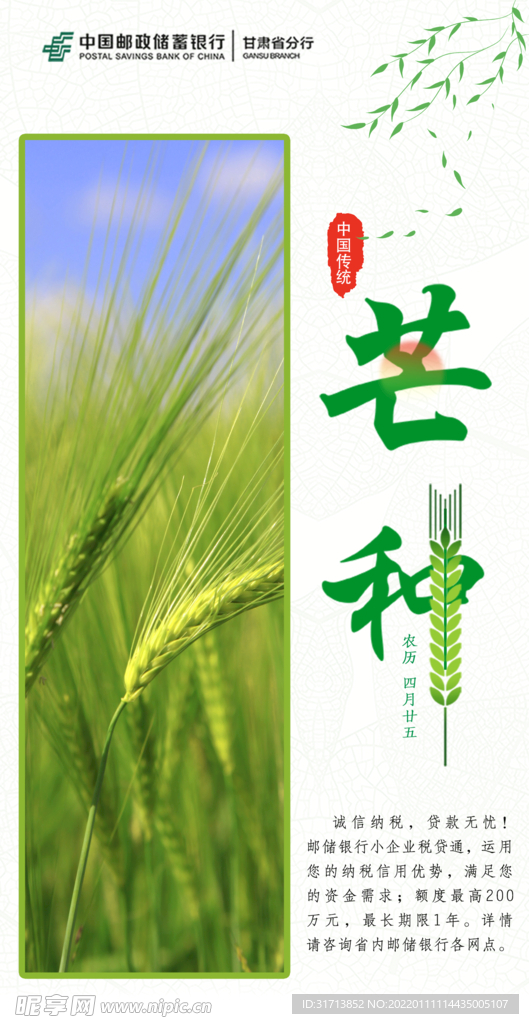 芒种节气