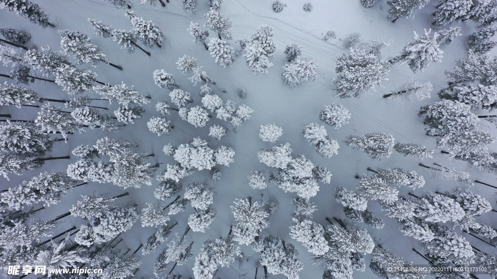 雪地壁纸