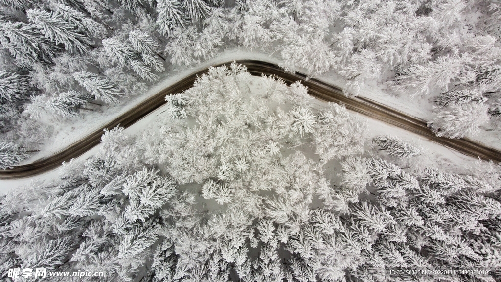 雪地壁纸