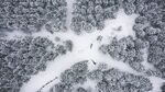 雪地壁纸