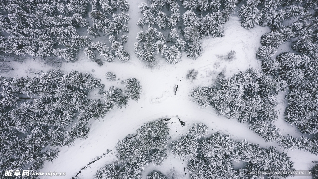 雪地壁纸