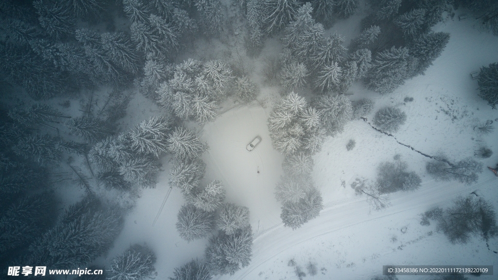 雪地壁纸